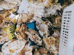 -鑫渔港海鲜本地菜·山海关浑锅(东戴河店)