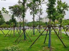 -武汉交通职业学院