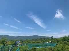 -陶祖圣境风景区