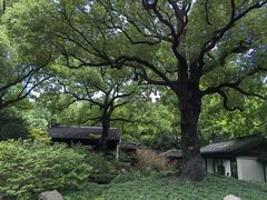 -惠山古镇·寄畅园