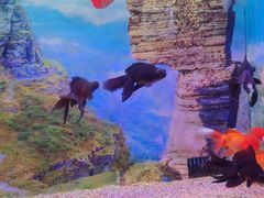 -多彩贵州城极地海洋世界