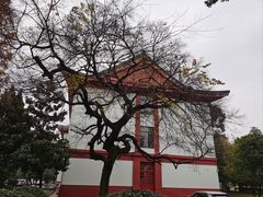-四川大学(望江校区)