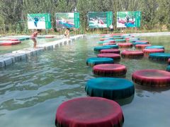 -东方巨龟苑景区