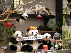 -轩客会(熊猫书店)