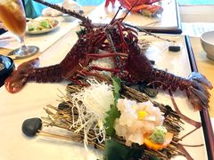 -活伊势龙虾料理 中纳言(千日前味乐馆店)