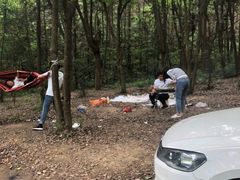 -青龙山国家森林公园