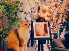 -咖法森林·咖啡  酒吧(天河店)