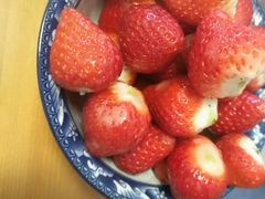 -京食源烧鸽子