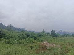 -沣峪口