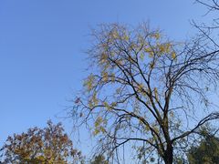 -沙河三洞古桥公园