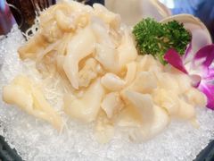 加拿大象拔蚌-东海怡品海鲜豆捞(舟宿夜江店)