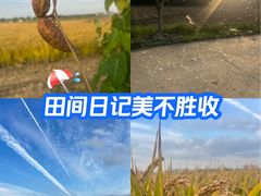 -阳澄湖半岛旅游度假区
