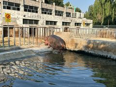 -保定市动物园
