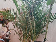 -玲婧胡同·生日蛋糕·餐厅(嘉里城店)