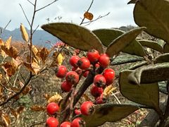 -山王坪喀斯特国家生态公园