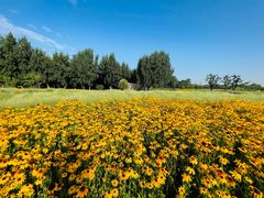 -汉长安城未央宫国家考古遗址公园