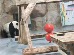 -无锡动物园·太湖欢乐园