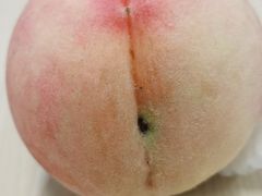 -南汇新场正宗水蜜桃采摘