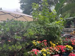 -山水茶艺馆·点心粤菜·30年老字号