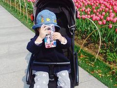 -大宁郁金香公园-停车场