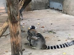 -太原动物园