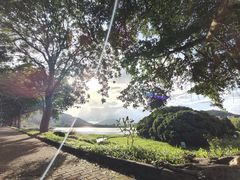 -风云岭森林公园