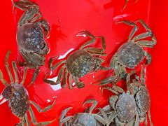 -阳澄湖大闸蟹·琼灵阁牌品牌连锁(吴中总店)