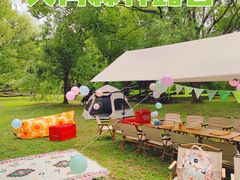 -上海共青森林公园