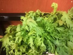 -快乐小羊(富强中路店)