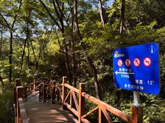 -大岭沟猕猴桃谷风景区