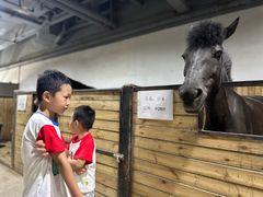 -李振强马术运动推广中心(南城店)
