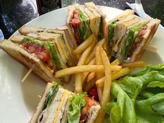 -Fern Forest Cafe