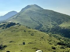 -大姆山草场
