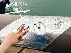 -星光大道