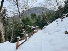 -藏龙百瀑风景区