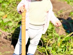 -前小桔亲子创意农场·草莓采摘·露营烧烤