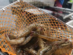 -盒马鲜生(大成店)