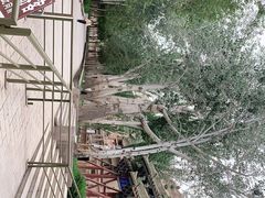 -敦煌石窟文物保护研究陈列中心