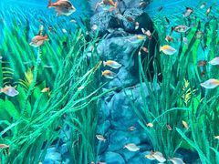 -上海海洋水族馆