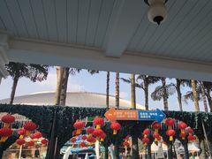 -海合安成都极地海洋公园