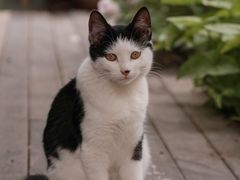 -厦门良筑精品酒店(厦门中山路店)