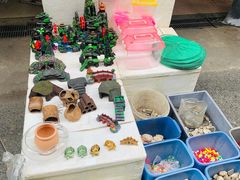 -清平路水族市场