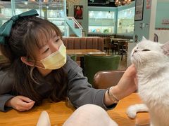 -猫小院猫主题餐厅(三里屯店)