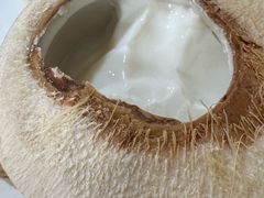-志龙皇冠吃货椰子铺