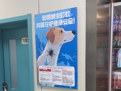 -北京观赏动物医院·24小时大型综合·猫专科·异宠专科