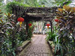 -海南热带野生动植物园