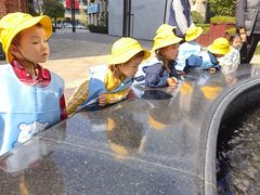 -绿城奇妙园双语日托(华茂悦峰园区)