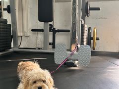 -瑞派康怡24h宠物医院·犬猫医疗中心·微创绝育(瑞景分院)