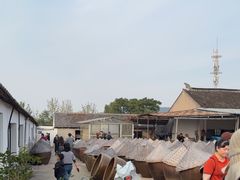 -苏州市吴中区光福窑上花果蜜饯厂