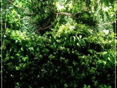 -兰亭轩茶餐厅(长江路店)